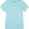 Hurley Kids Palm Beach Graphic T-Shirt (Little Kid) | Shirts & Tops