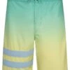 Hurley Kids Gradient Phantom Block Party Board Shorts (Little Kid) | Swimwear