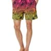 Hurley Cannonball Volley 25Th S2 17 | Shorts