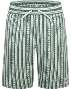 Hurley Kids Mini Vacay Stripe Pull On Swim Trunk (Big Kid) | Swimwear -Shoe Style Shop 81qIL26IZVL. AC SR736920
